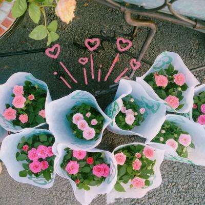 行香子·述怀